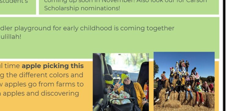 Students apple picking on fall field trip