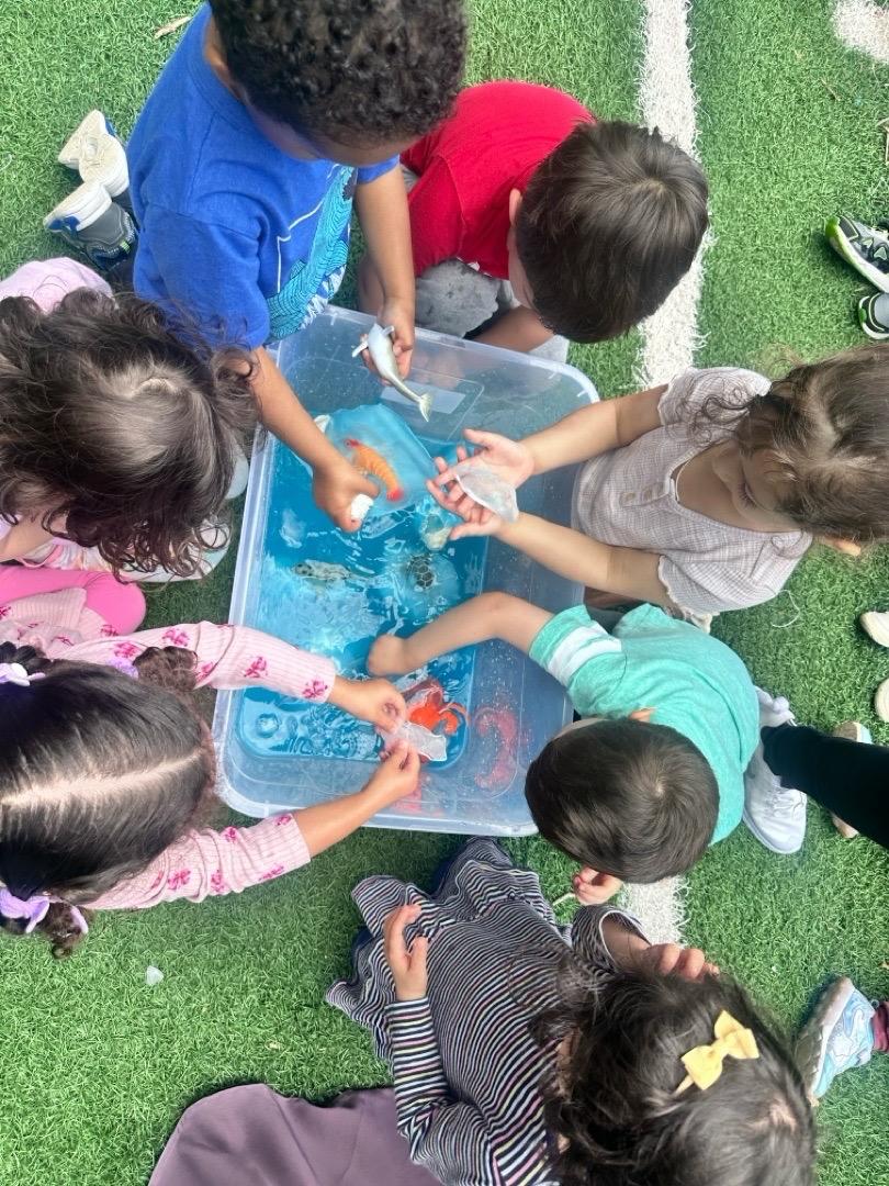 Pre-Kindergarten classroom activities